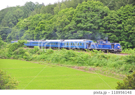 函館本線 蘭島ー塩谷 JR北海道 DD51-1142(函館)+24系+14系(札幌) ニセコ 函館本線 蘭島ー塩谷 JR北海道 DD51-1142(函館)+24系+14系(札幌) ニセコ 118956148