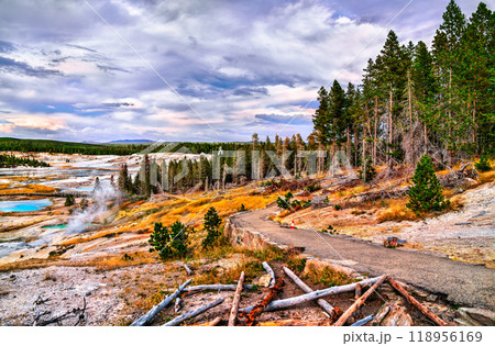 Norris Geyser Basin Loop Trail at Yellowstone National Park in Wyoming, United States Norris Geyser Basin Loop Trail at Yellowstone National Park in Wyoming, United States 118956169