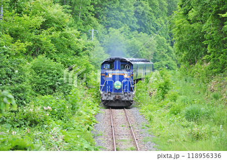 根室本線 金山ー東鹿越 JR北海道 DD51-1142(函館)+24系+14系(札幌) 狩勝 根室本線 金山ー東鹿越 JR北海道 DD51-1142(函館)+24系+14系(札幌) 狩勝 118956336