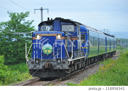 根室本線　東滝川ー赤平　JR北海道　DD51-1142（函館）+24系+14系（札幌）　狩勝 118956341