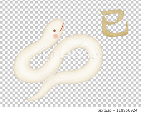 Cute white snake New Year's card material with watercolor handwriting 118956924