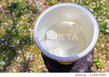 都市公園で満開に咲く美しいソメイヨシノ(桜)と花見酒。東京都文京区-2024年 都市公園で満開に咲く美しいソメイヨシノ(桜)と花見酒。東京都文京区-2024年 118957694