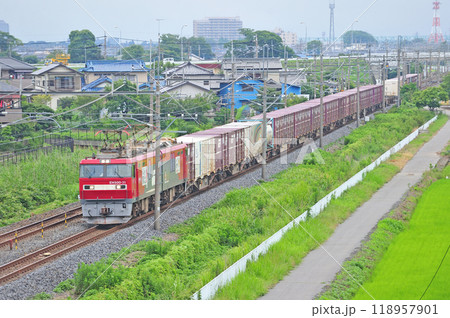 東北本線　栗橋ー東鷲宮　JR貨物　EH500-31（仙台） 118957901