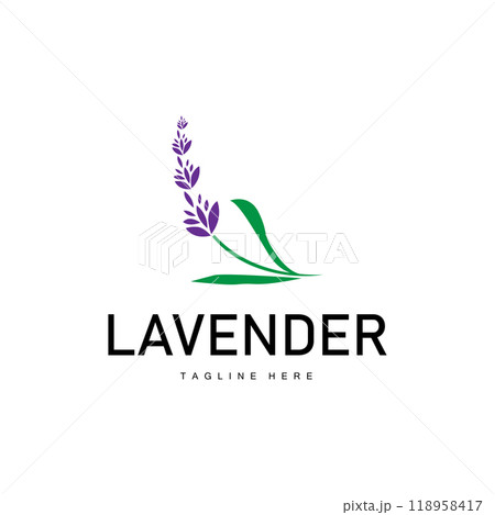 Lavender logo simple design vector cosmetic plant purple color and aromatherapy lavender flower garden template Lavender logo simple design vector cosmetic plant purple color and aromatherapy lavender flower garden template 118958417