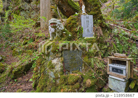 桜松神社 桜松神社 118958667