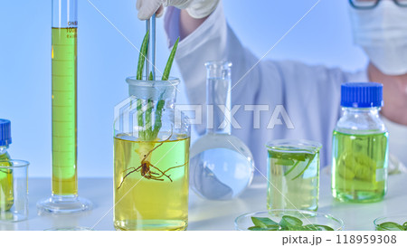An aloe plant in a glass jar with a solution is dropped and observed by a scientist in a modern laboratory environment, as seen in an photo, surrounded by aloe components and experimental tools. 118959308
