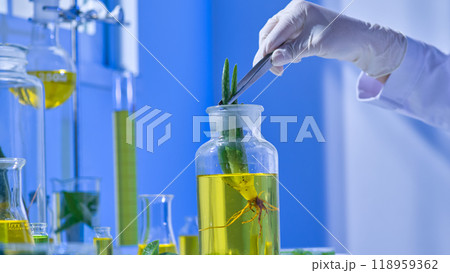 A close-up video shows a scientist using simple lab equipment to do an experiment in a minimalist environment by carefully moving an aloe vera plant into a glass jar filled with a yellow fluid. 118959362