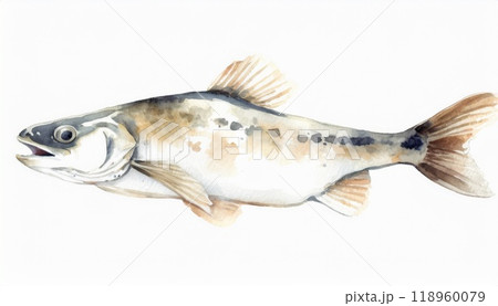 たらの水彩画 118960079