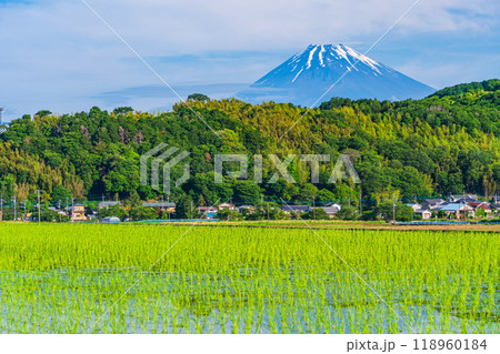 【静岡県】丹那盆地の水田に映る逆さ富士 118960184