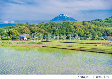 【静岡県】丹那盆地の水田に映る逆さ富士 【静岡県】丹那盆地の水田に映る逆さ富士 118960189