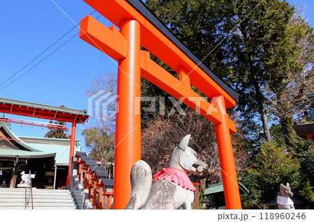 国宝犬山城散策・15(愛知県犬山市) 国宝犬山城散策・15(愛知県犬山市) 118960246