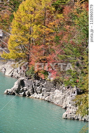 高瀬ダム湖の秋景色 118960379