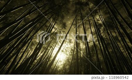 A dense bamboo cluster silhouetted by a full moon casts long, ethereal shadows that dance on the ground. 118960542