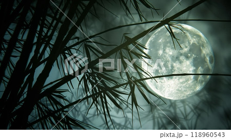 A dense bamboo cluster is silhouetted by a full moon, casting shadows and enveloping the night in tranquility. 118960543