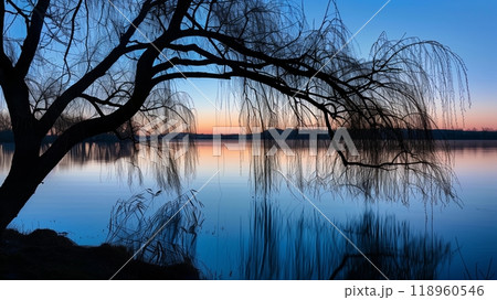 A silhouetted willow sways gently over a serene lake at dusk, creating a tranquil, picturesque scene. 118960546