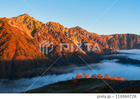 秋の唐松岳登山（夜明けの白馬三山） 118960726