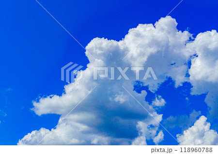 夏雲　イメージ 118960788