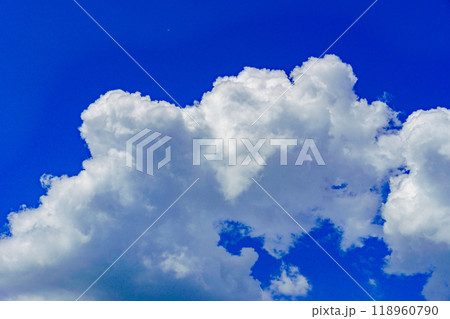 夏雲　イメージ 118960790