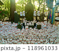  猫で埋め尽くされたお寺 118961033