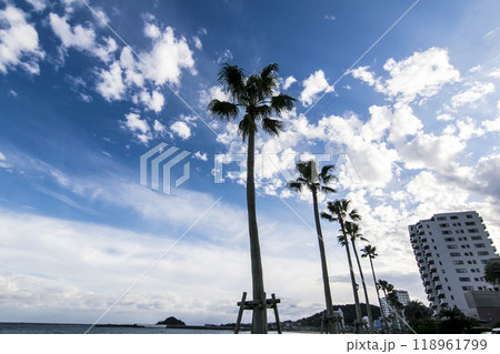 ＜千葉県＞前原海水浴場（鴨川市） 118961799