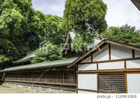 大宮 氷川神社 本殿 埼玉県さいたま市 大宮 氷川神社 本殿 埼玉県さいたま市 118961869