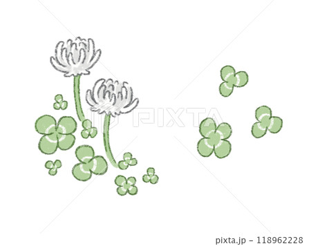 シロツメクサのカットイラスト シロツメクサのカットイラスト 118962228
