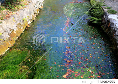 中山道醒ヶ井の宿散策・7(滋賀県醒ヶ井の宿) 中山道醒ヶ井の宿散策・7(滋賀県醒ヶ井の宿) 118962553