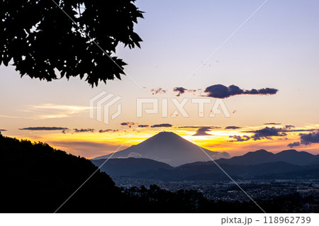弘法山公園から見た富士山(神奈川県秦野市) 弘法山公園から見た富士山(神奈川県秦野市) 118962739