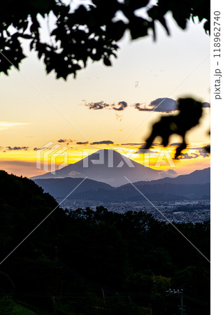 弘法山公園から見た富士山（神奈川県秦野市） 118962740