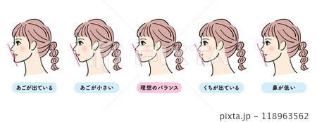女性の横顔セット　Eライン 118963562