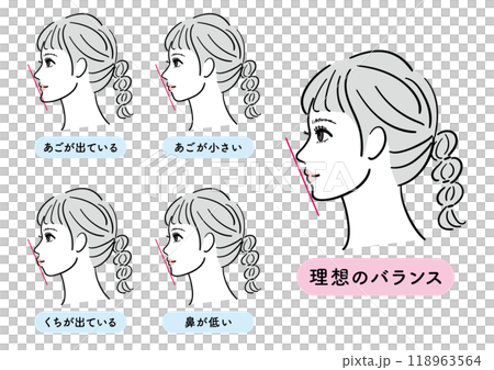 女性の横顔セット　Eライン 118963564