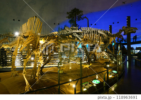 福井県恐竜博物館 鳥脚類の展示品 福井県恐竜博物館 鳥脚類の展示品 118963691