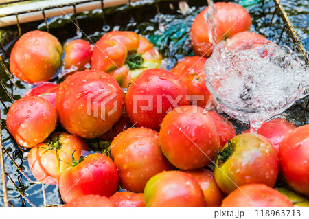 冷やしトマト～夏野菜～ 118963713