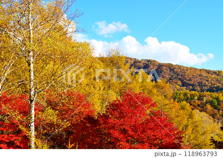 横谷観音展望台 駐車場の展望デッキから眺めた紅葉 118963793