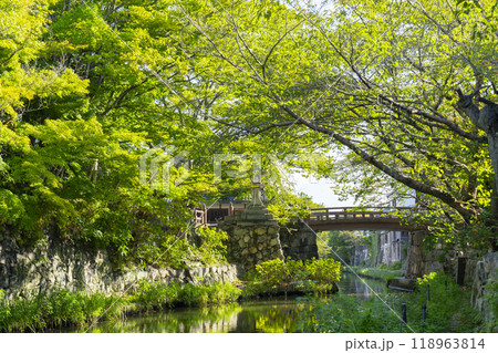 八幡堀の風情あふれる景観(滋賀県近江八幡市) 八幡堀の風情あふれる景観(滋賀県近江八幡市) 118963814