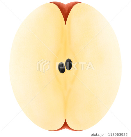 Red apples illustration, simple shapes style. Red apples illustration, simple shapes style. 118963925