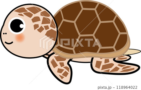 可愛い海亀のゆるい亀のキャラクターイラスト 可愛い海亀のゆるい亀のキャラクターイラスト 118964022
