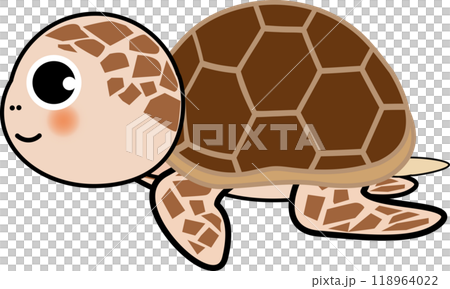 可愛い海亀のゆるい亀のキャラクターイラスト 可愛い海亀のゆるい亀のキャラクターイラスト 118964022
