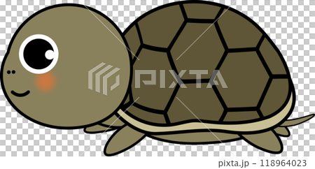 可愛い・ゆるい亀のキャラクターイラスト 118964023