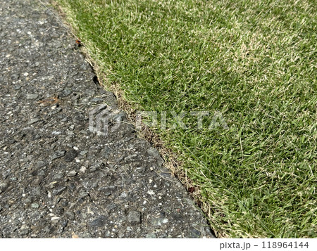 刈高2cmの芝生とアスファルトの境目 刈高2cmの芝生とアスファルトの境目 118964144