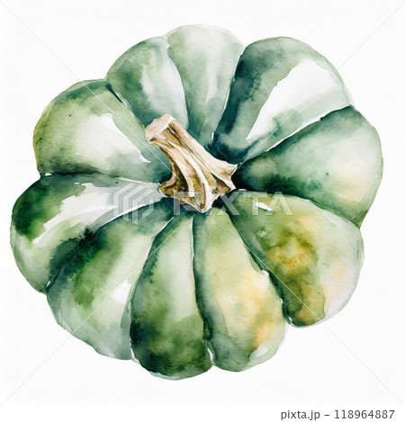 かぼちゃの水彩画 118964887