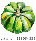 かぼちゃの水彩画 118964888