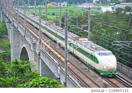 上越新幹線　高崎ー上毛高原　JR東日本　200系　K47編成（新潟）　とき　たにがわ　リバイバル色 118965131