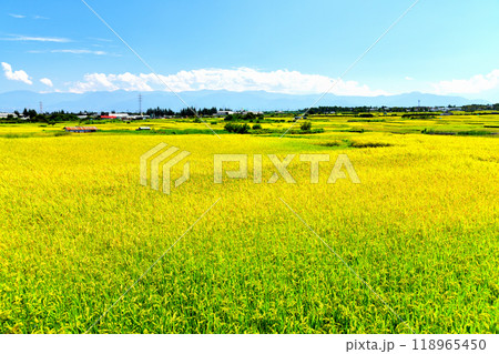 山梨県韮崎市旭町上條周辺の風景(山梨県韮崎市)【2024.9】 118965450