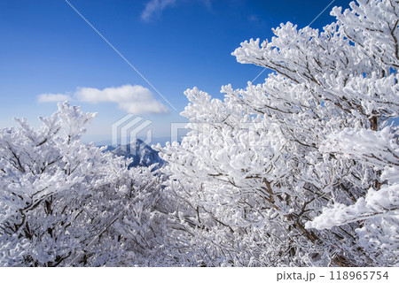 冬山絶景《御在所岳山上の樹氷と鎌ヶ岳》 冬山絶景《御在所岳山上の樹氷と鎌ヶ岳》 118965754
