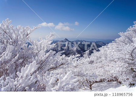 冬山絶景《御在所岳山上の樹氷と鎌ヶ岳》 冬山絶景《御在所岳山上の樹氷と鎌ヶ岳》 118965756