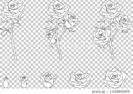 簡單玫瑰套裝單色 118966009