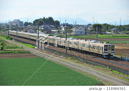高崎線　岡部ー深谷　JR東日本　211系　C10編成（高崎） 118966561