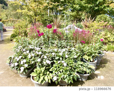 花の庭園 118966676