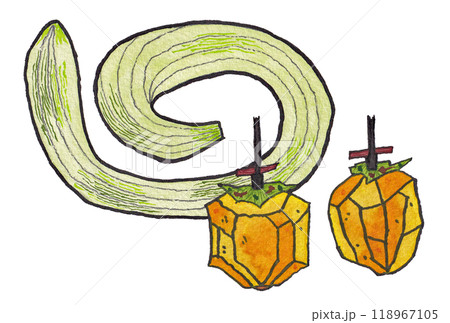 手描きの水彩画(絵手紙)「干し柿」と「蛇瓜(ヘビウリ)」 手描きの水彩画(絵手紙)「干し柿」と「蛇瓜(ヘビウリ)」 118967105